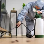 Trusted pest control services in Delhi for homes and offices offering effective long-term pest removal
