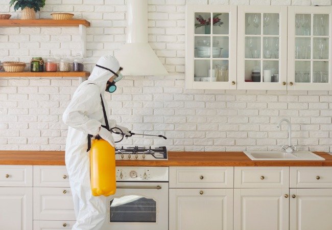 herbal pest control south delhi